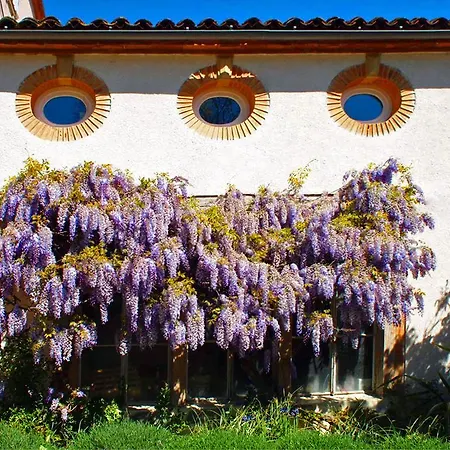 Chambres D'hotes Au Chateau Saint-Nicolas-de-la-Grave