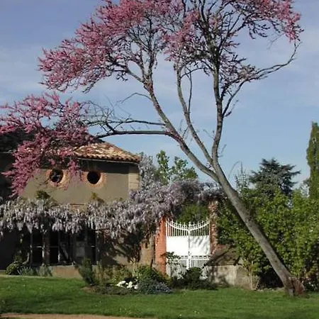 Chambres D'hotes Au Chateau Bed & Breakfast Saint-Nicolas-de-la-Grave